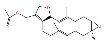 Lobophynin B